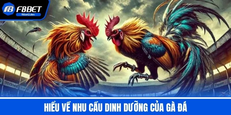 Chế Độ Ăn Uống Cho Gà Đá Để Tăng Cân Nhanh Khỏe Mạnh Đẹp Mã 2 Hiểu Về Nhu Cầu Dinh Dưỡng Của Gà Đá