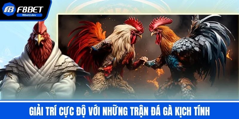 Đá Gà F8BET - Giải Trí Cực Độ Với Những Trận Đá Kịch Tính 1 Giải Trí Cực Độ Với Những Trận Đá Gà Kịch Tính