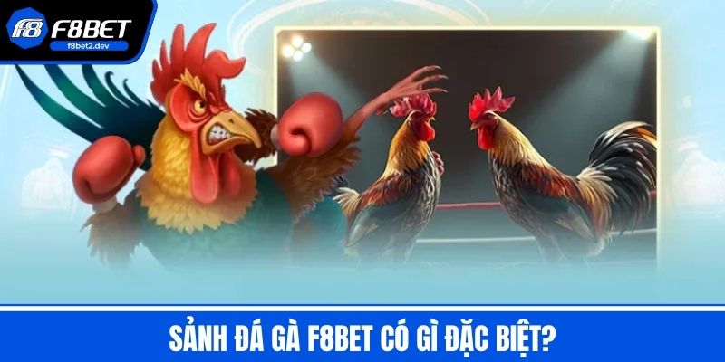 Đá Gà F8BET - Giải Trí Cực Độ Với Những Trận Đá Kịch Tính 2 Sảnh Đá Gà F8BET có gì đặc biệt?