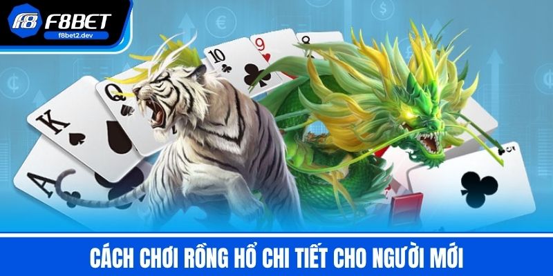 Rồng Hổ Là Gì? Bật Mí Mẹo Chơi & Cách Chơi Game Hiệu Quả 3 Cách Chơi Rồng Hổ Chi Tiết Cho Người Mới