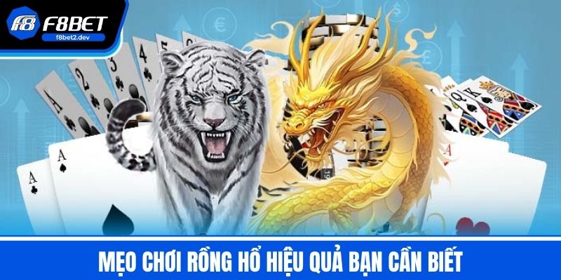 Rồng Hổ Là Gì? Bật Mí Mẹo Chơi & Cách Chơi Game Hiệu Quả 4 Mẹo Chơi Rồng Hổ Hiệu Quả Bạn Cần Biết